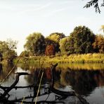 Am herbstlichen schönen Mulde-Ufer im Umland von Dessau-Rosslau