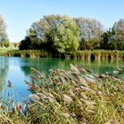 Am herbstlichen See