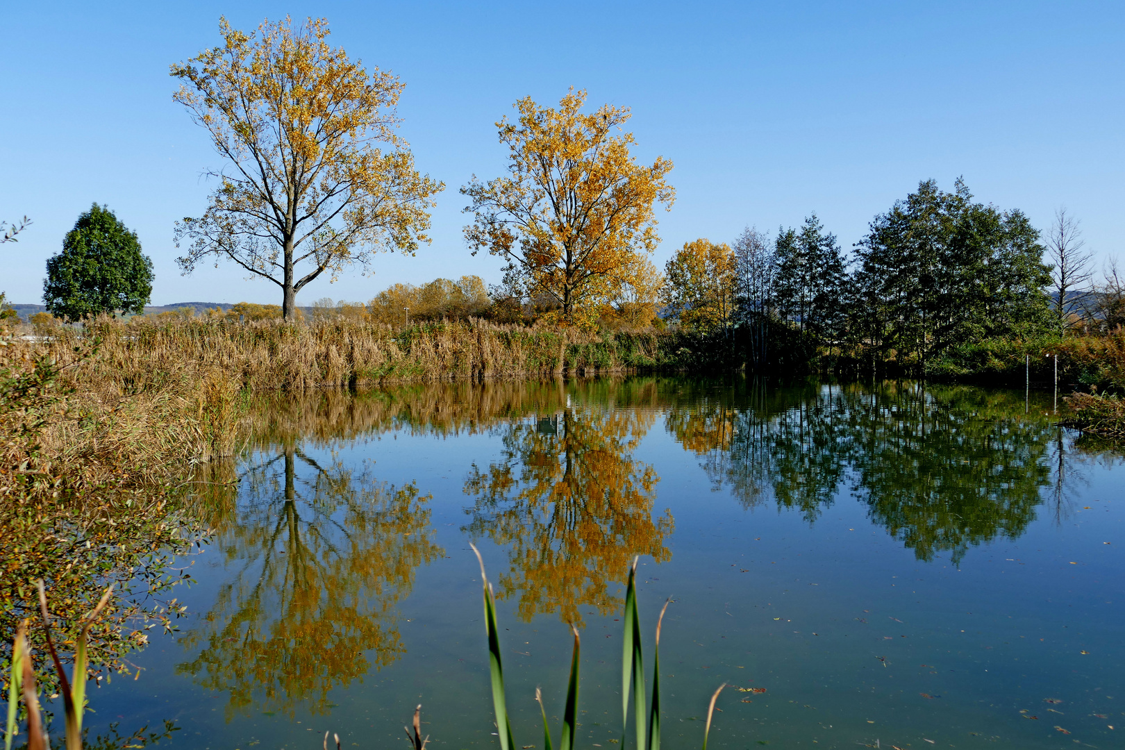 Am herbstlichen See