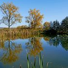 Am herbstlichen See