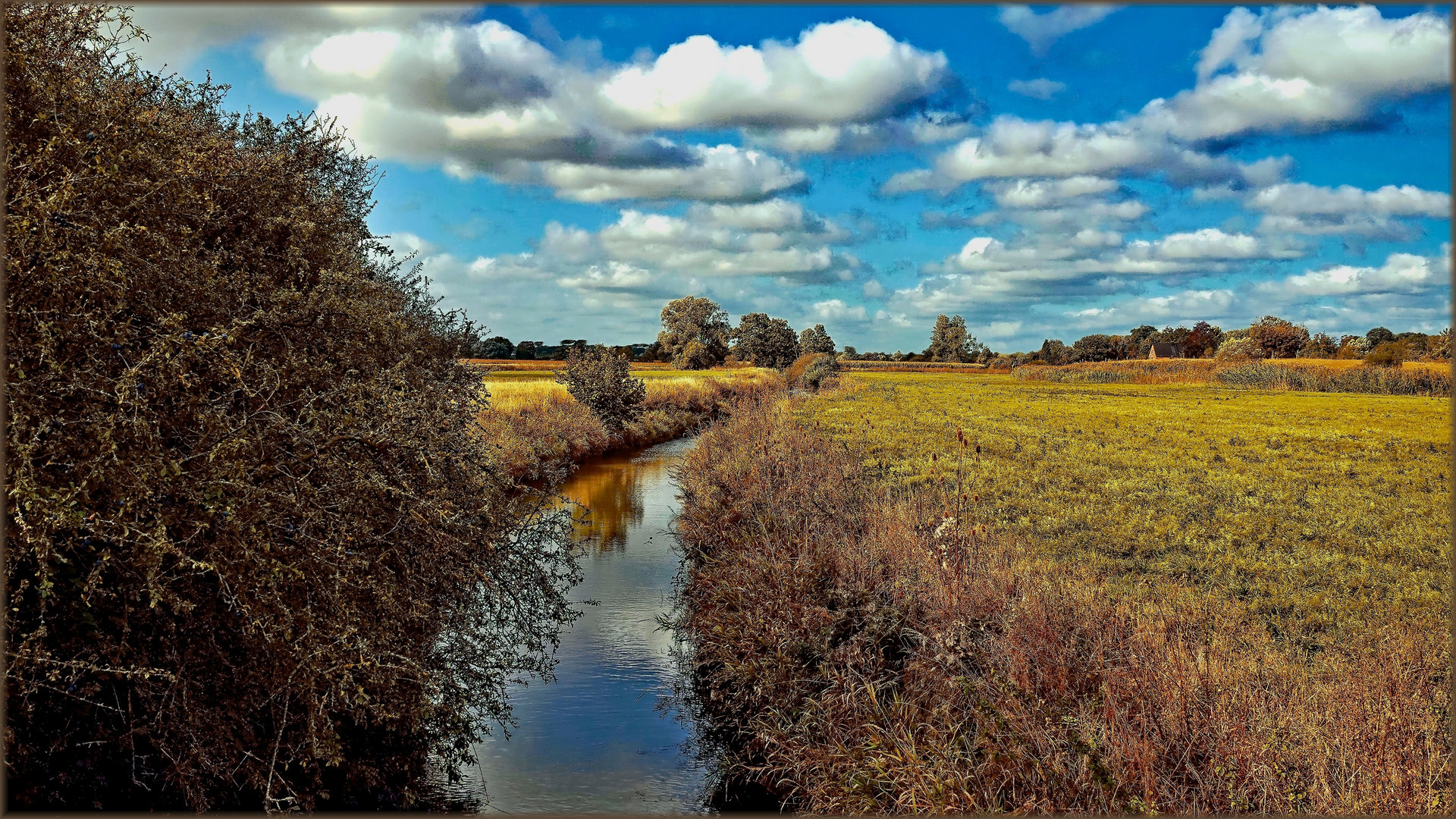 Am herbstlichen Ufer der Ahse