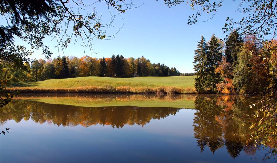 Am herbstlichen Weiher