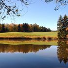 Am herbstlichen Weiher