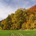 Am Herbstwald