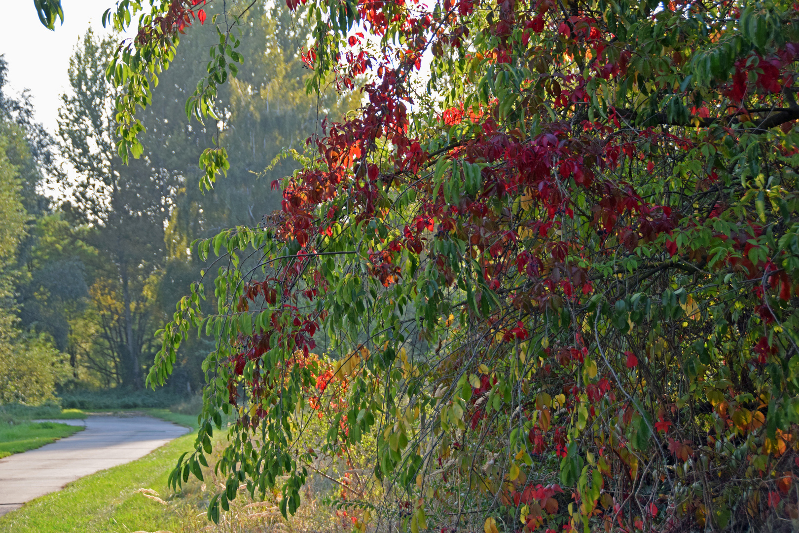 am Herbstweg