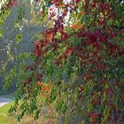 am Herbstweg