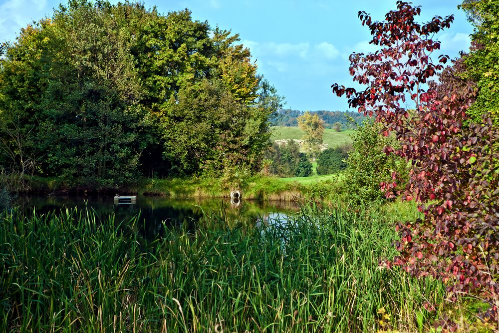 Am Herbstwweiher