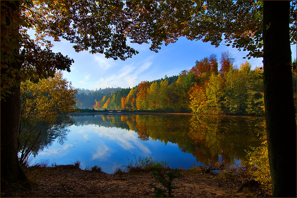 Am Herrenbachsee