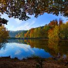 Am Herrenbachsee