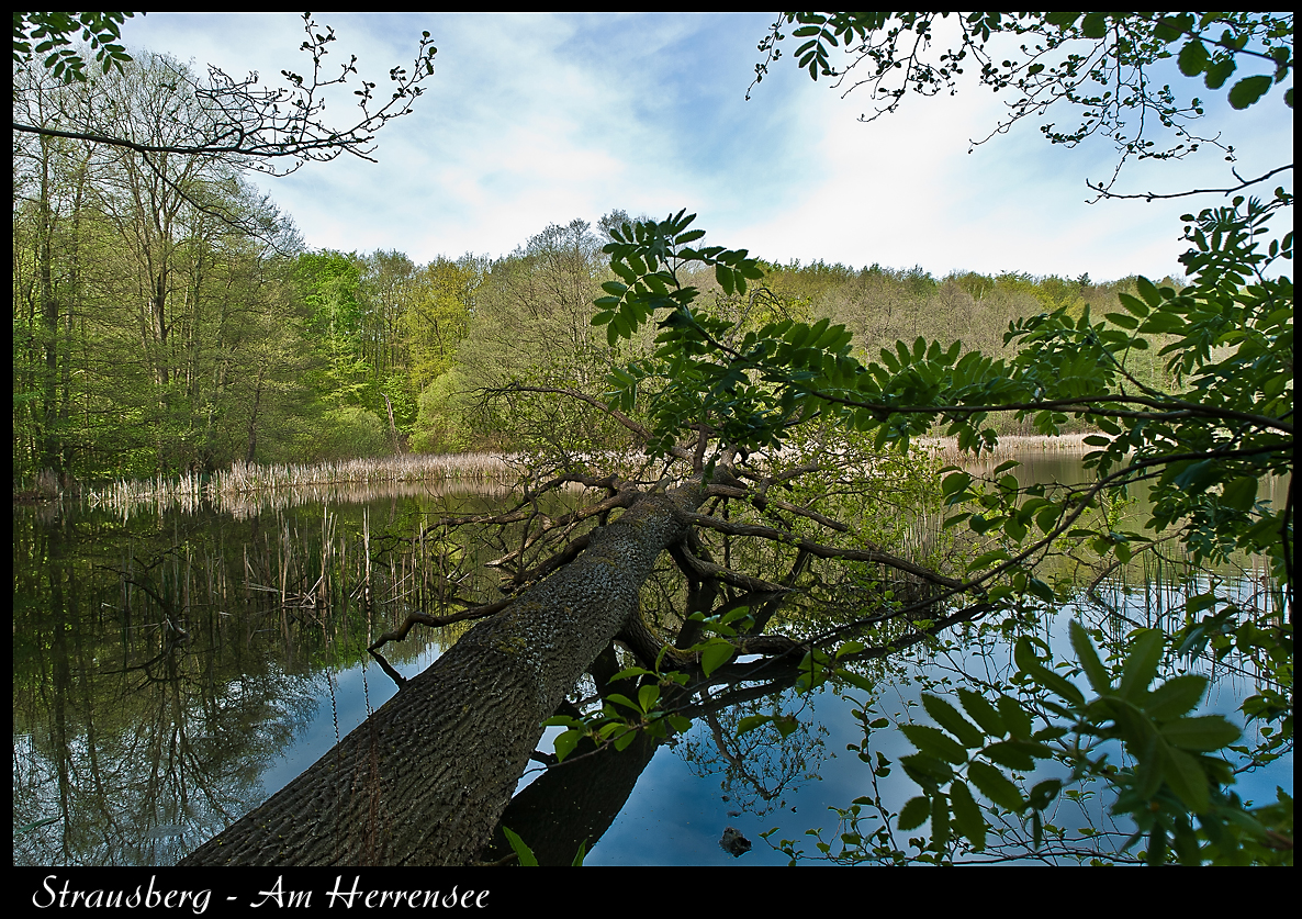 Am Herrensee