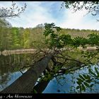 Am Herrensee