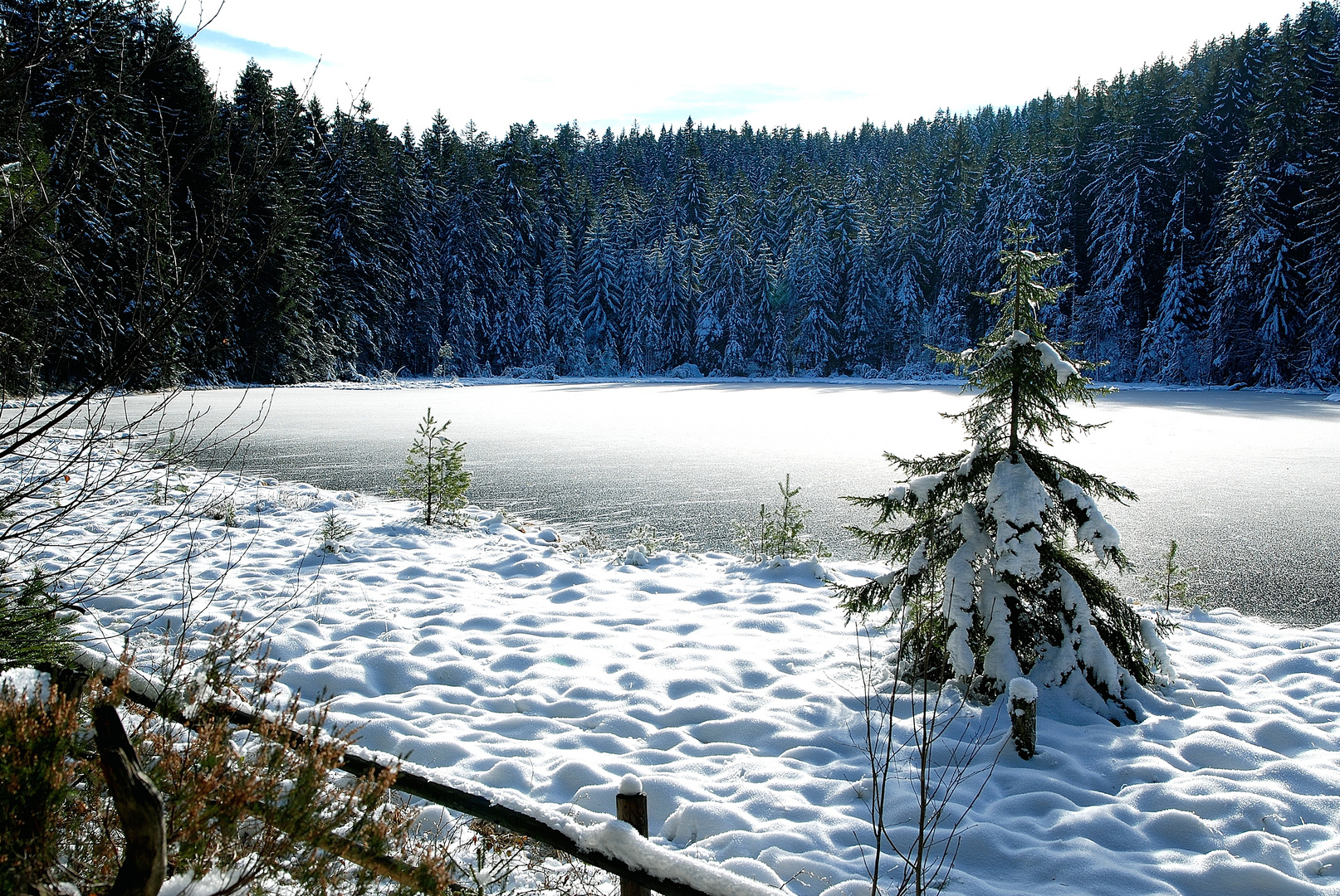 Am Herrenwieser See