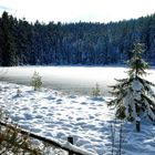 Am Herrenwieser See