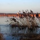 am heutigen Sonntag am Oderufer in FFO