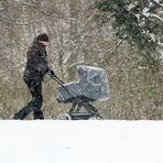 Am heutigen Vormittag in Cottbus