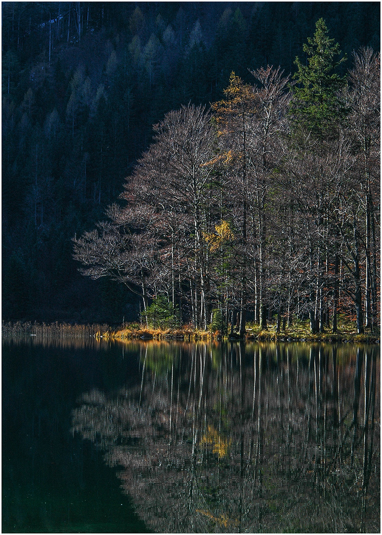 am hinteren Langbathsee