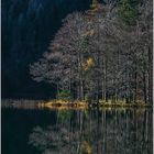 am hinteren Langbathsee