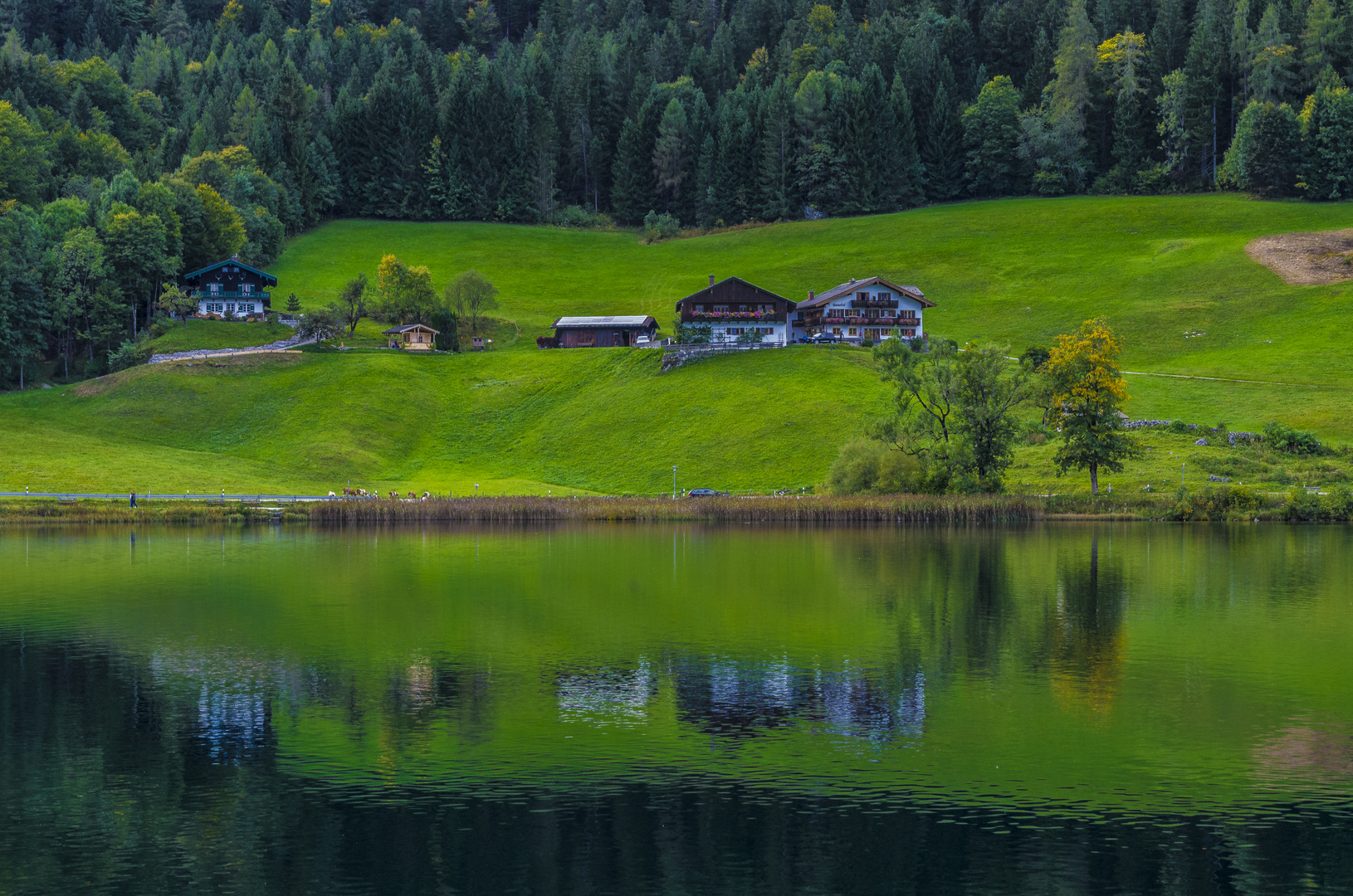 Am Hintersee