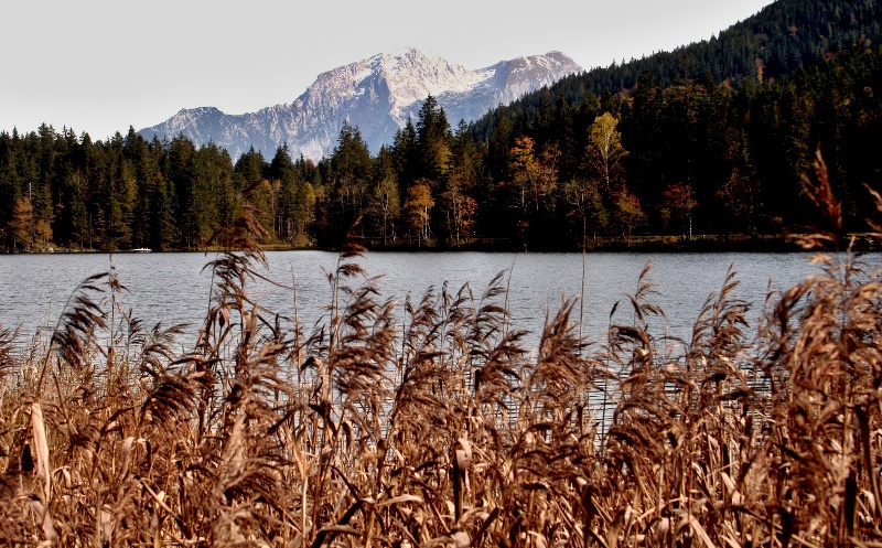 Am Hintersee