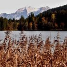 Am Hintersee