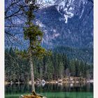 Am Hintersee bei Ramsau