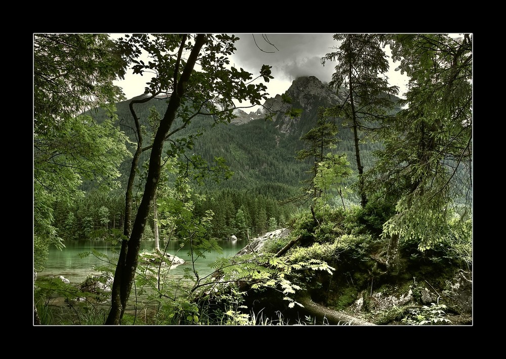 Am Hintersee bei Ramsau / Im Zauberwald