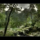 Am Hintersee bei Ramsau / Im Zauberwald