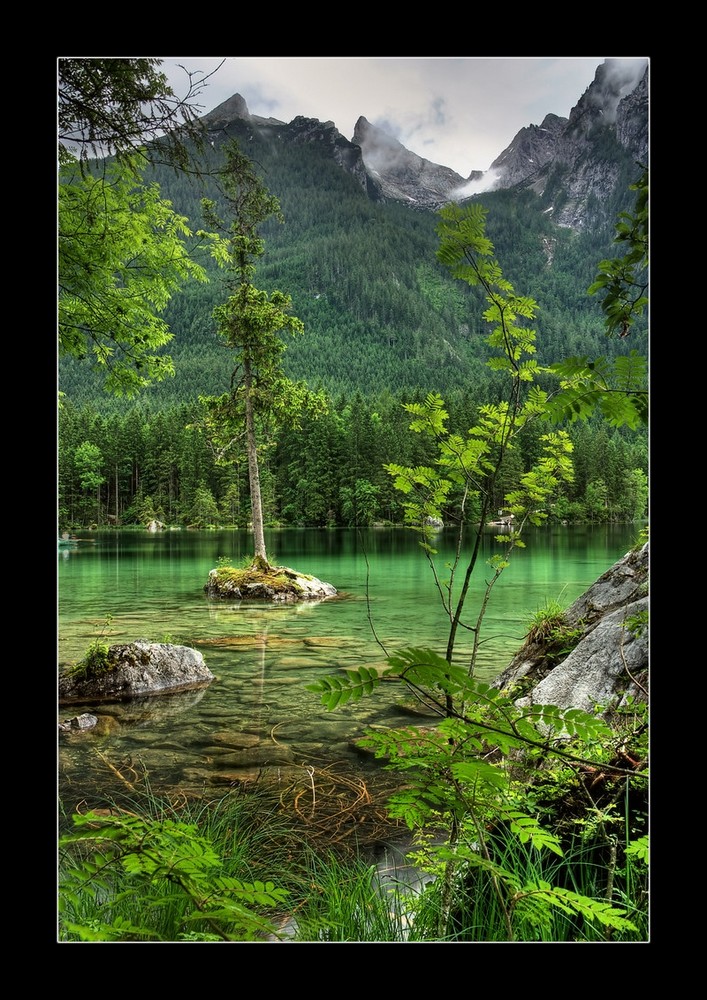 Am Hintersee bei Ramsau / Insel mit einem Baum