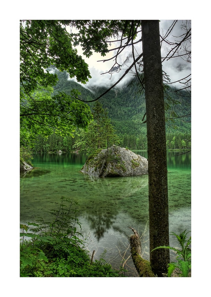 Am Hintersee bei Ramsau / Insel mit zwei Bäumen