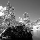 Am Hintersee - Berchtesgadener Land