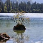 Am Hintersee