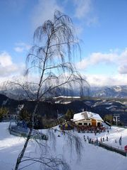 Am Hirschenkogel