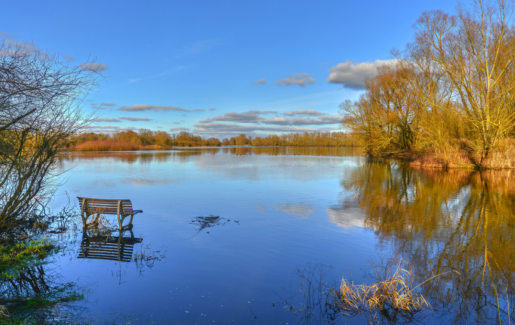 Am Hitzacker See ...