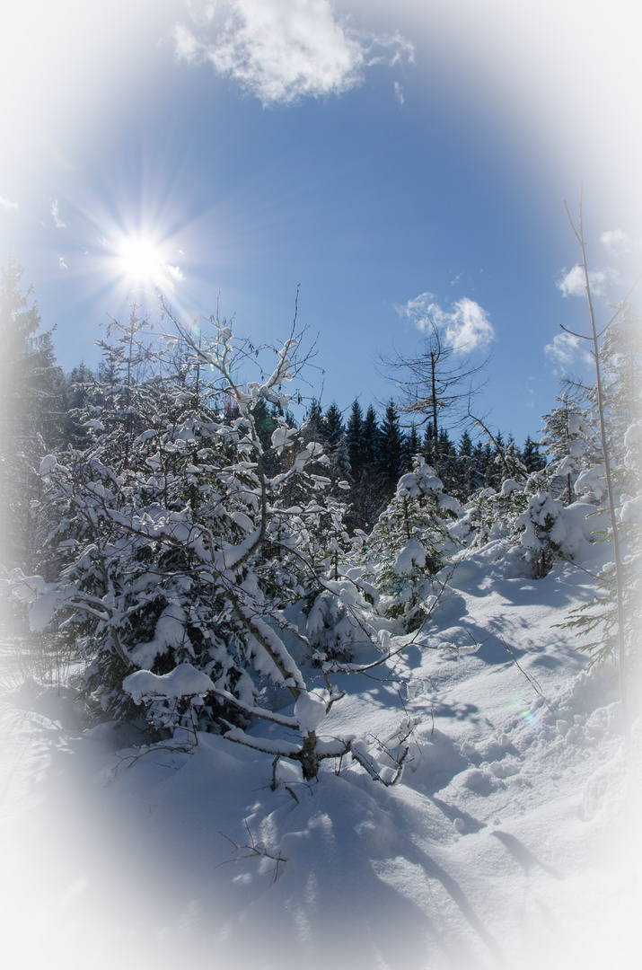 Am Hochlecken / am Attersee 31.01.2015