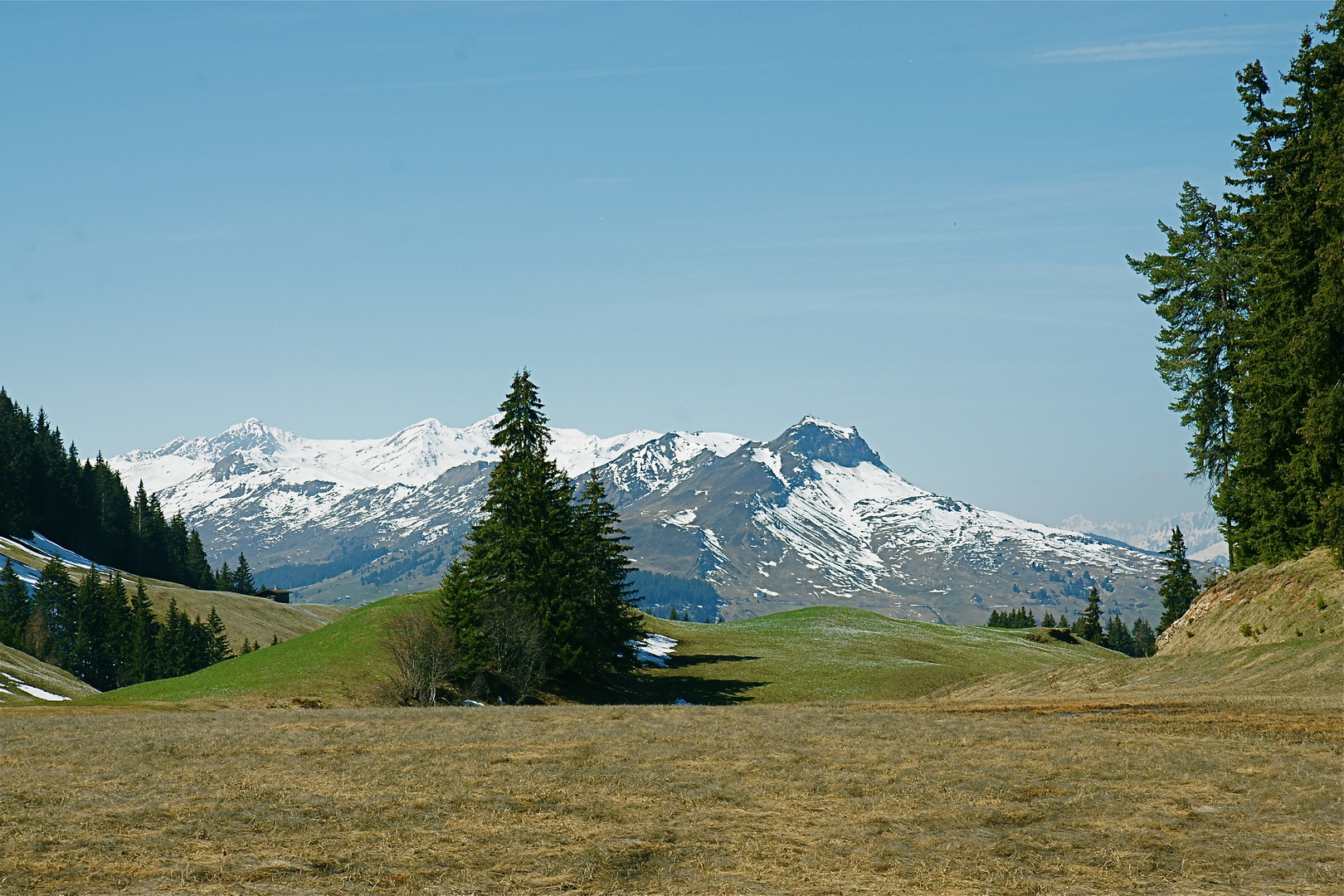 Am Hochmoor