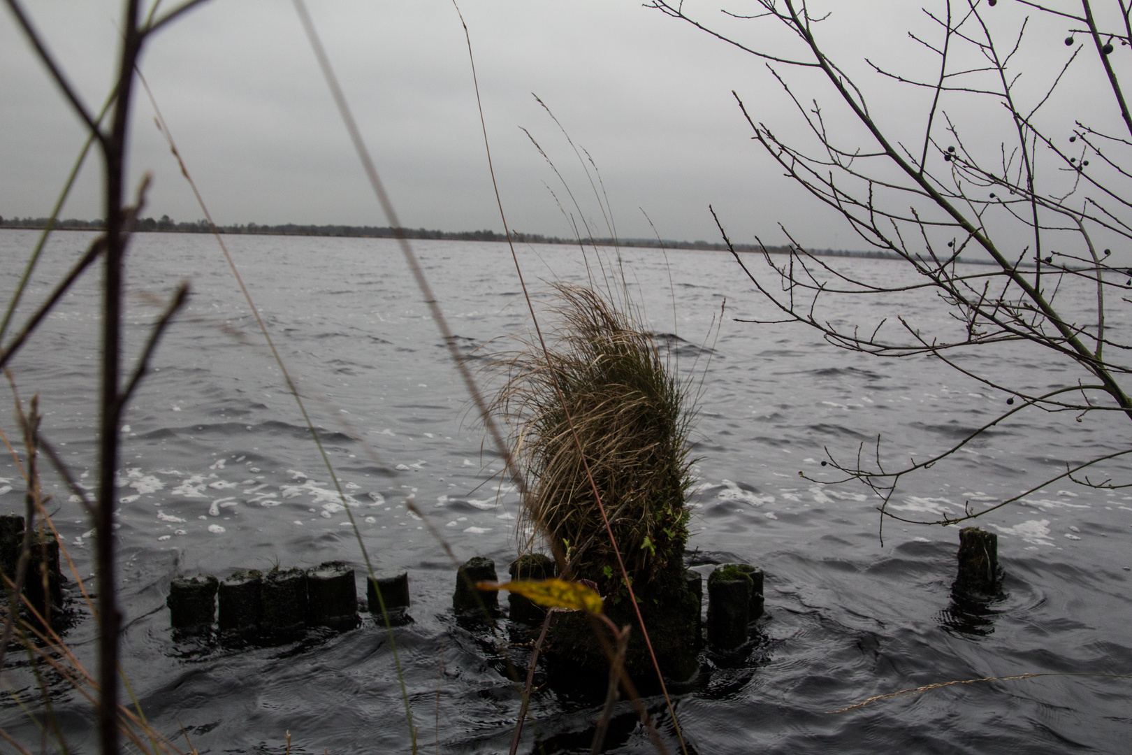 Am Hochmoor-See "Ewiges Meer" in Ostfriesland