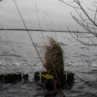 Am Hochmoor-See "Ewiges Meer" in Ostfriesland