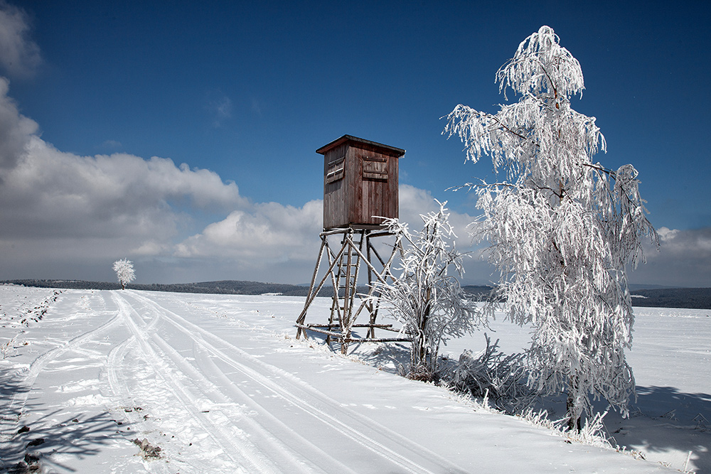 am Hochsitz