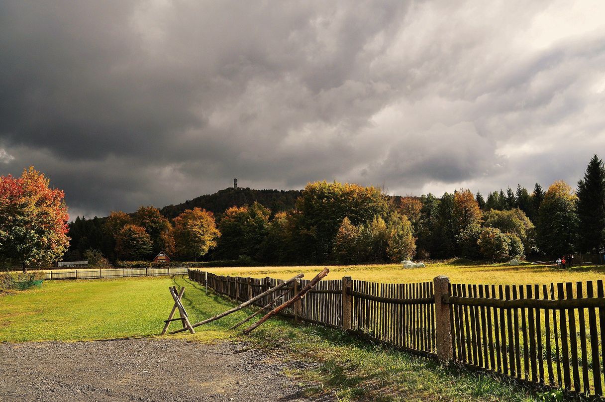 Am Hochwald