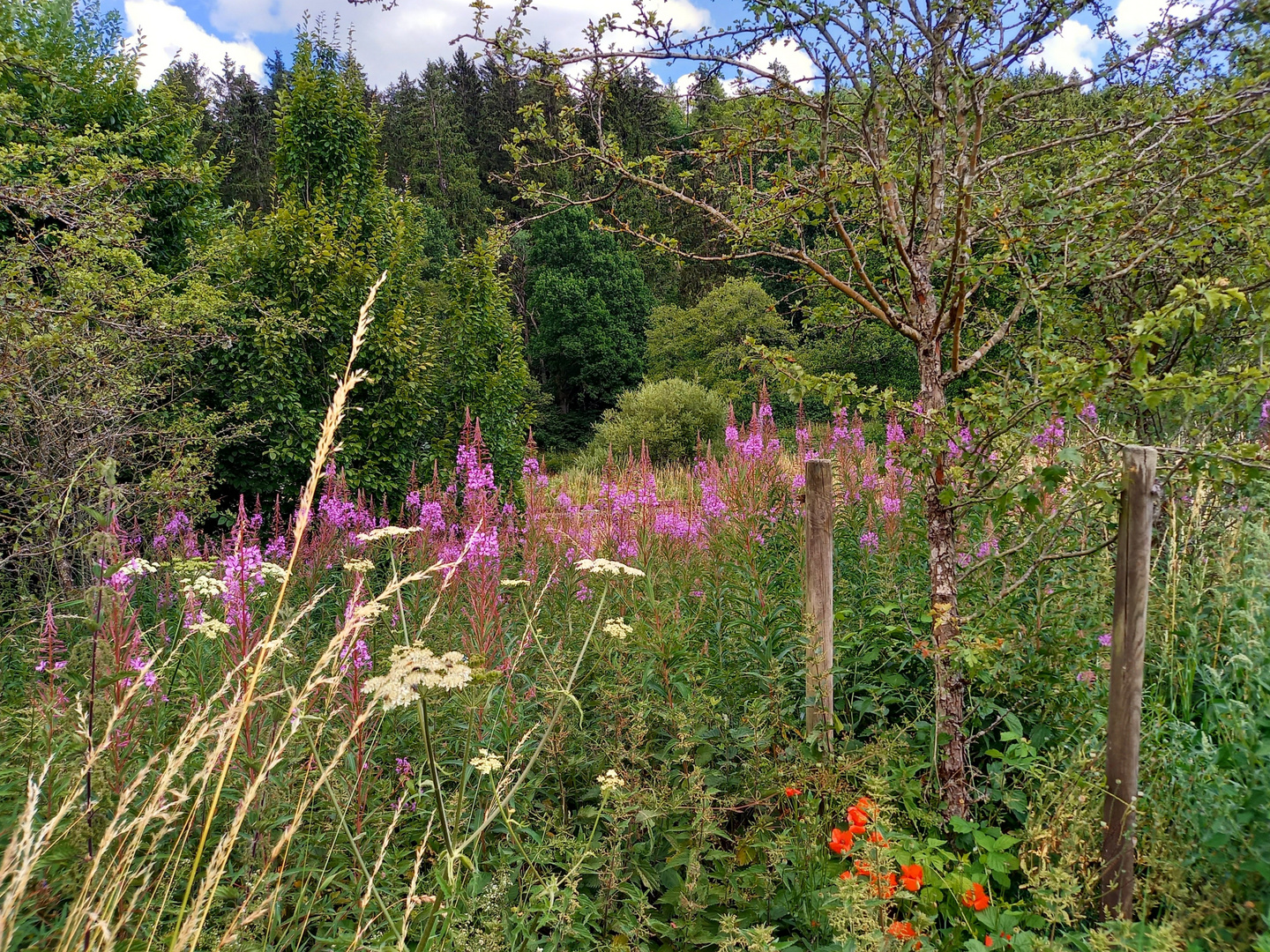 am Höhenweg