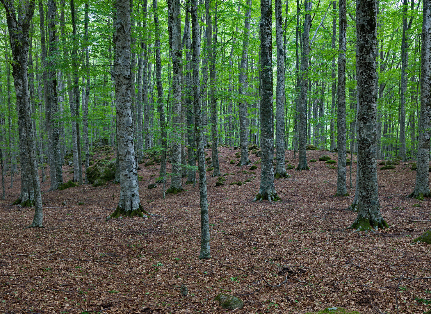 Am Höhenweg des Monte Amiata - Toskana