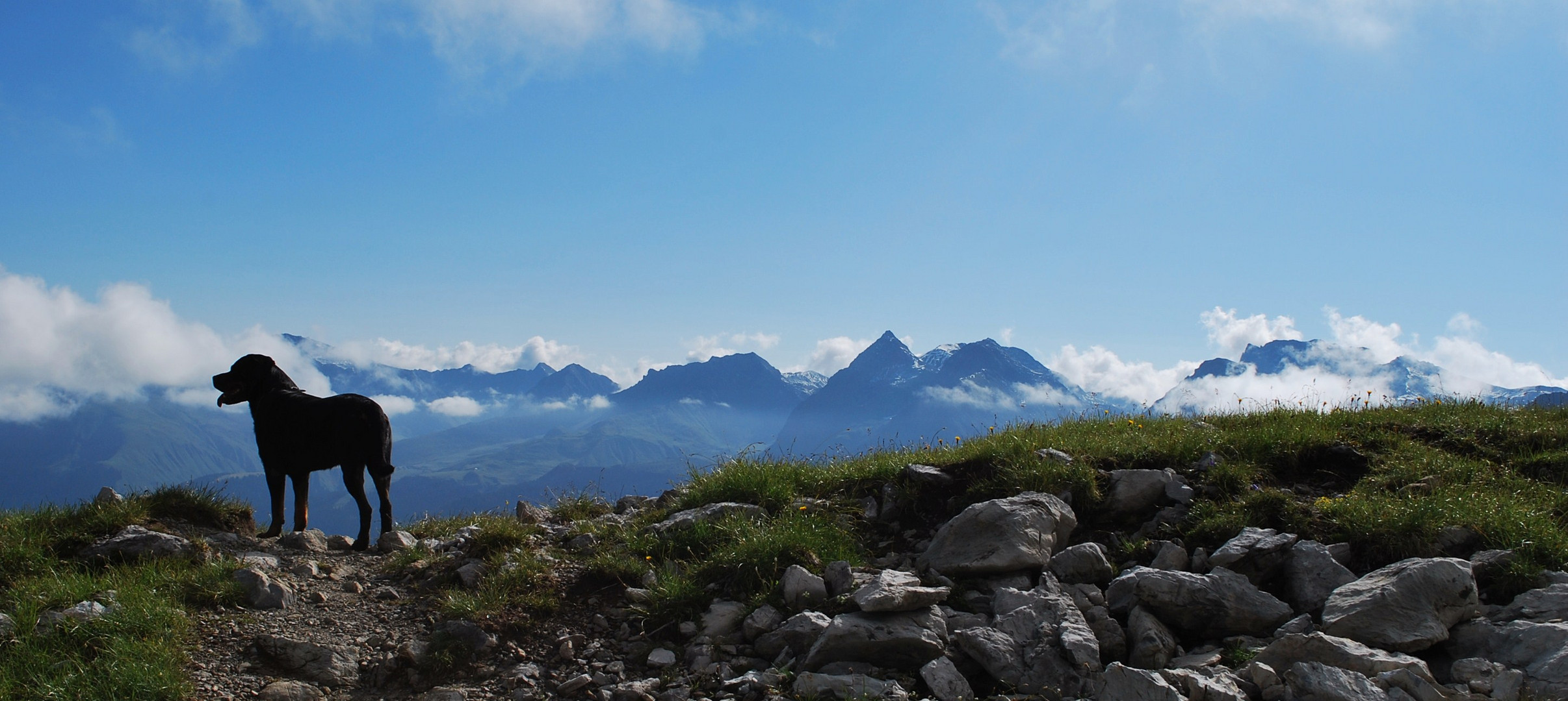 am Hörnli ob Arosa.......