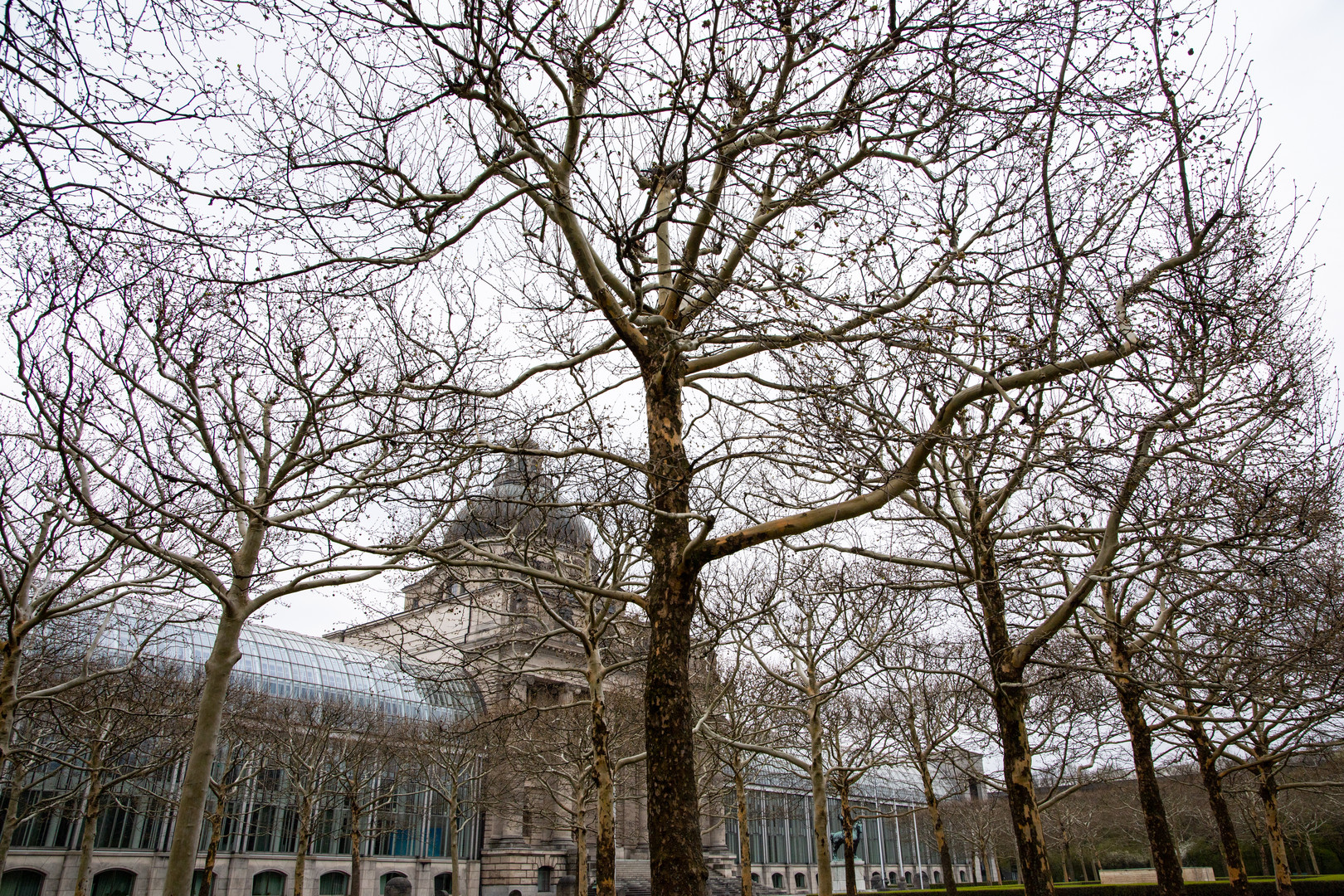 Am Hofgarten II