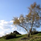 am Hohen Dörnberg im Habichtswald