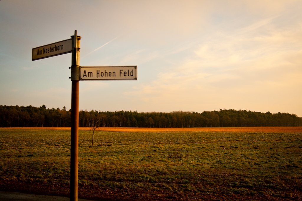 Am Hohen Feld