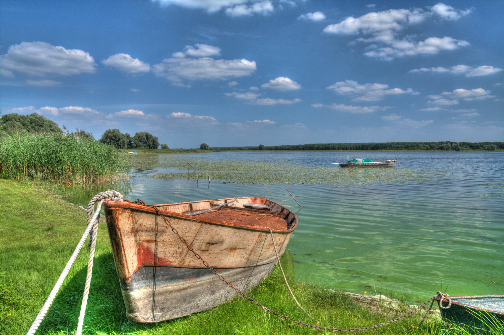 Am Hohennauener See