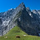 am Hohljoch