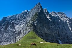 am Hohljoch