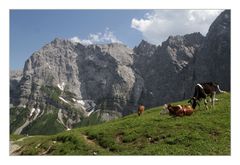 Am Hohljoch