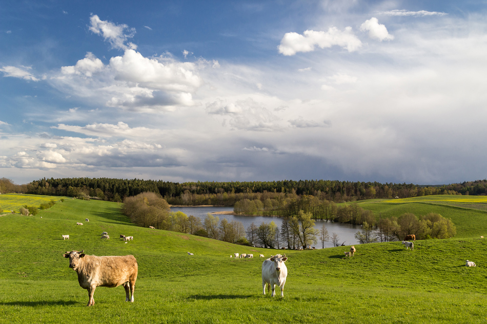 Am Hollensee